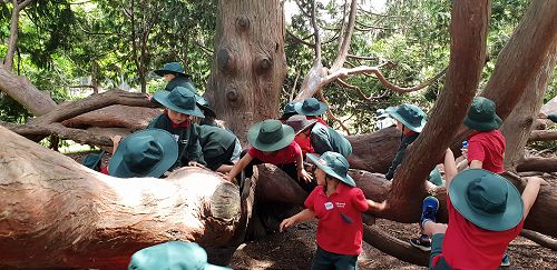 Awa's Trip to the Canterbury Museum
