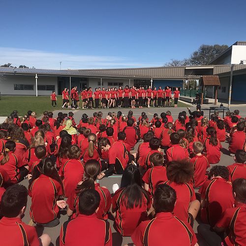 A special kapa haka performance to celebrate Te Wiki o te Reo Māori