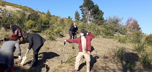 French classes planting trees