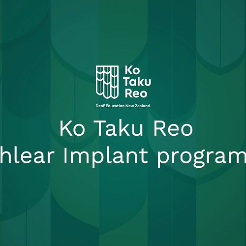 Video: Cochlear implant programme