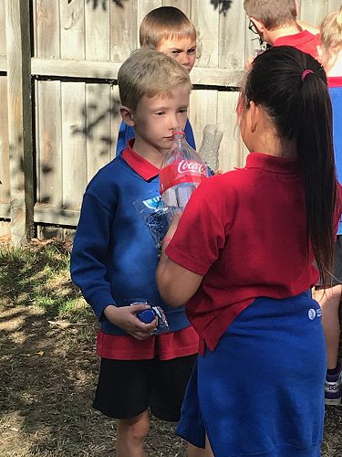 STEAM - Terrarium Making - Team Harakeke