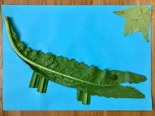 Hazel Rm 24 - a natural crocodile!