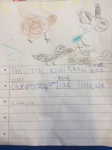 The little kiwi thinks the Matariki stars are coming and the little kiwi is not sleeping. (Oliver Yuan)