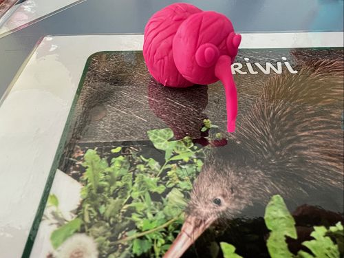 NZSL Hub Bird playdough 