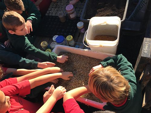 Feeling some different products used to start off the growing of herb seeds