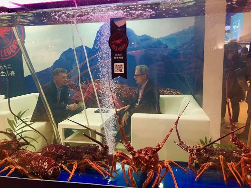 An unusual perspective.