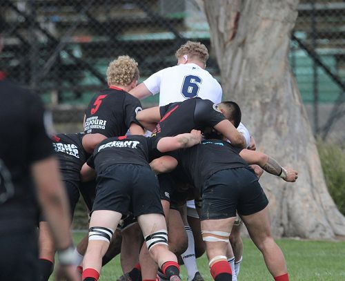 1st XV v Gisborne BHS