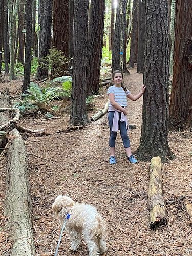 Harriet climbed the Pineapple Track during her time in lockdown.  No pineapples in sight!