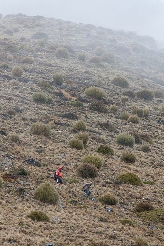 A long walk on a misty snowy morning nears the end.