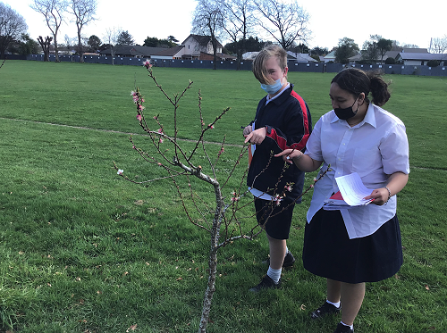 Learning with Sean & Lelia