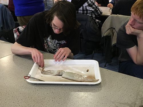 13 Biology Field Trip