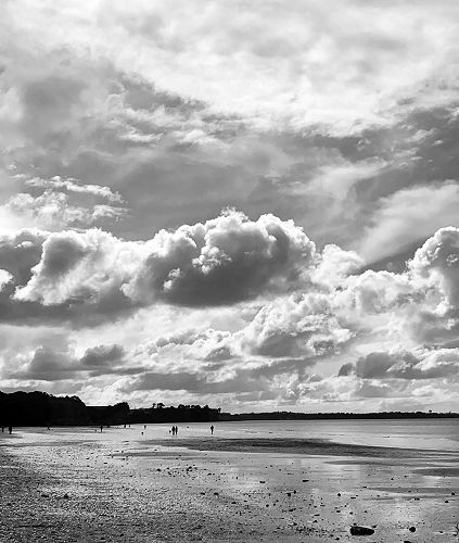 Second place - Trish Dellaway