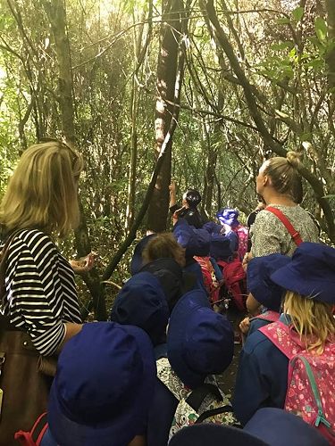 Harakeke Deans Bush trip