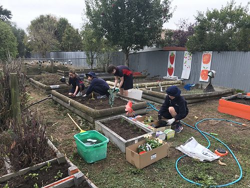 Tiani Mae, Anika, Emily and Katie busy planting.