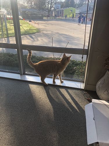 Helping Ms McArthur with Principal duties