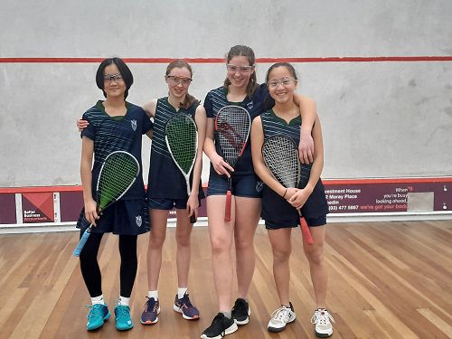 Columba Squash Stars 