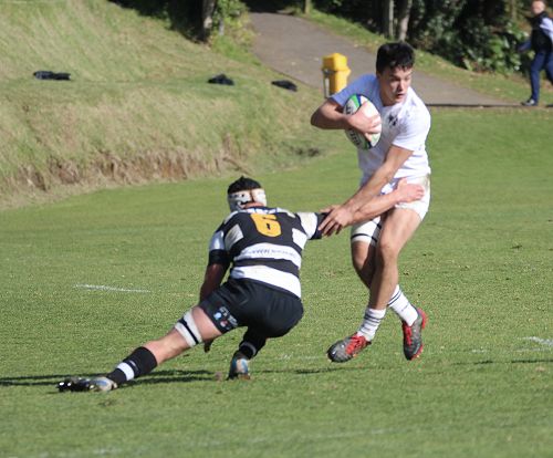 1st XV vs New Plymouth Boys' High School