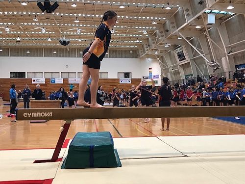 Gymnastics 2017