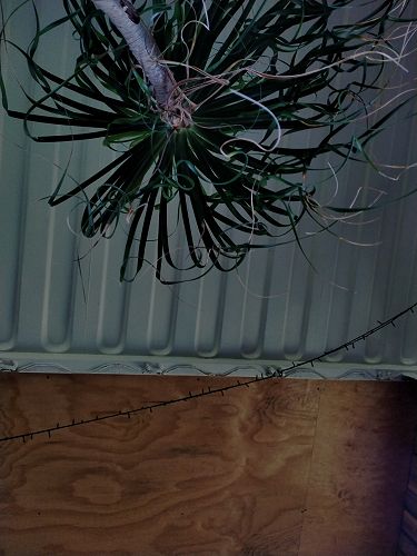 Inter-House Photography Competition