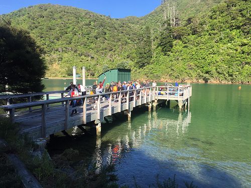 Queen Charlotte Track