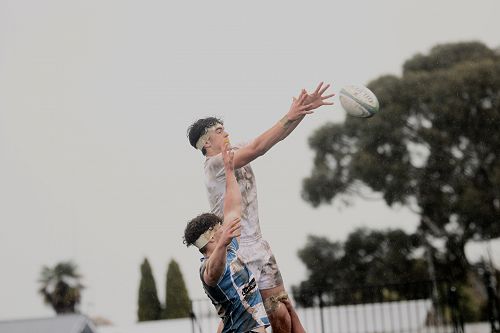 1st XV v St Patrick’s College, Silverstream – Wednesday 2 September