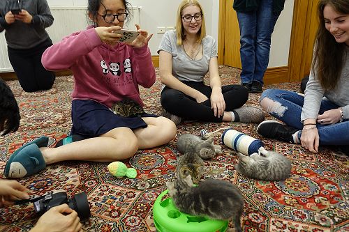 Cuddle Fix - 10 June 2018