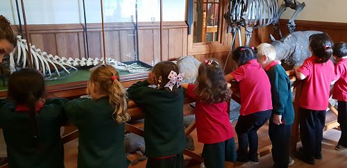 Awa's Trip to the Canterbury Museum