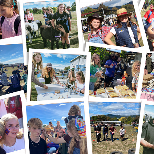 Nayland College A & P Show 2022