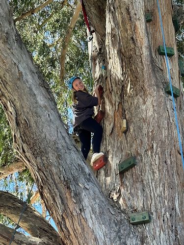 Frankie conquering her fears and taking on the tree climbing