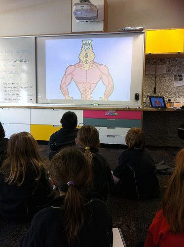 Harakeke - Learning 1