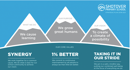 What we do, our purpose, our vision