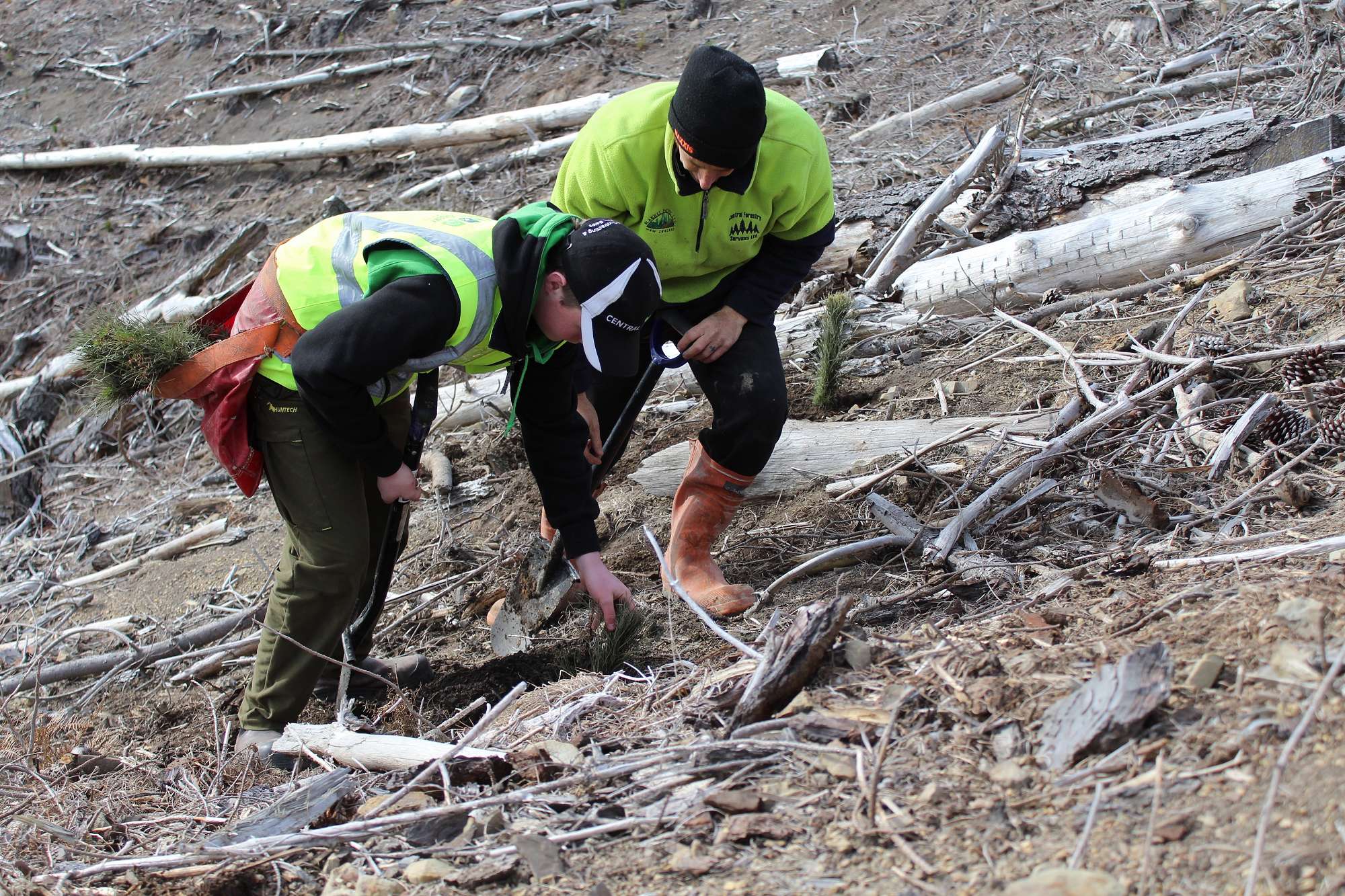 Primary Industry in the Forest