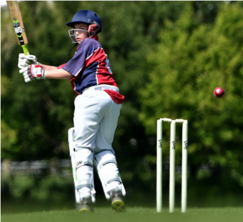 Tournament week cricket