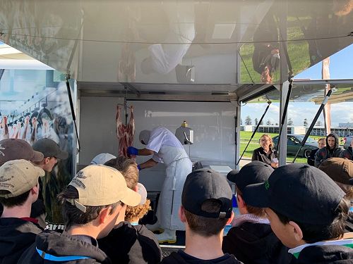 Future Sheep Competition