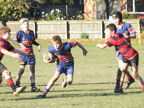 2016 RUGBY UNDER 12 