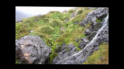 Video: temple basin 2012 reissue