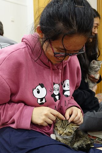 Cuddle Fix - 10 June 2018