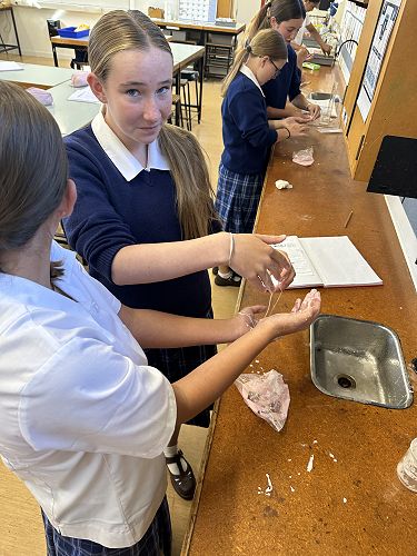 9WH Science observations