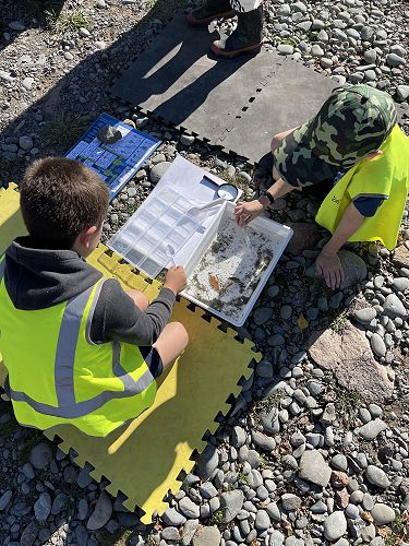 Mānuka Trip to the Willows