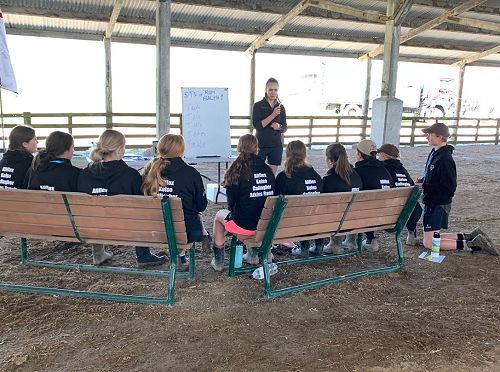 Future Sheep Competition