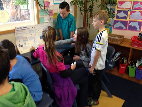 Caitlyn and Chloe worked together to explore the impact of global warming on the Great Barrier Reef.