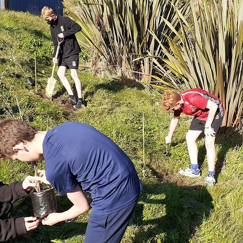 French classes planting trees