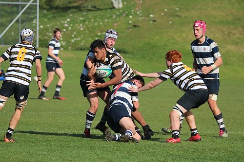 2nd XV vs New Plymouth Boys' High School