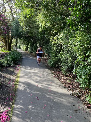 MSS Orienteering Championships 2022