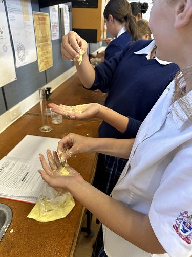 9WH Science observations