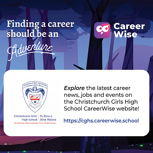 CareerWise