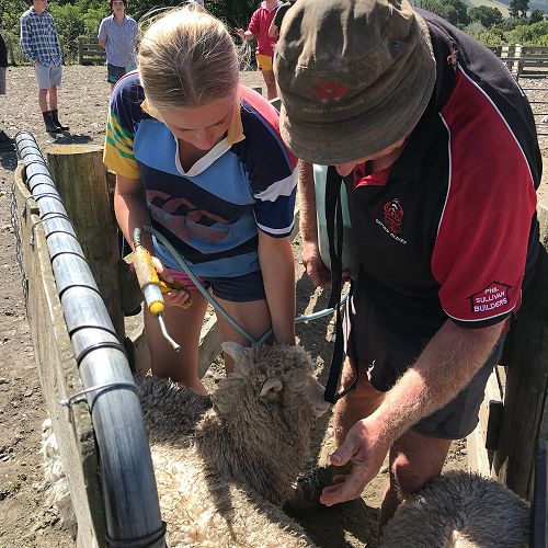 Liz Thompson drenching with Gary Williams