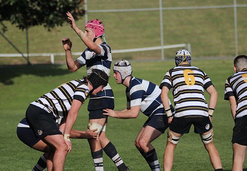 2nd XV vs New Plymouth Boys' High School