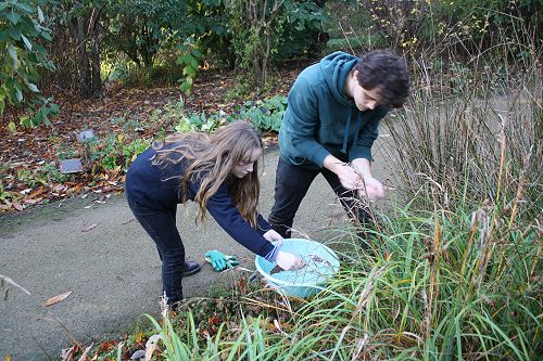Gateway work placement