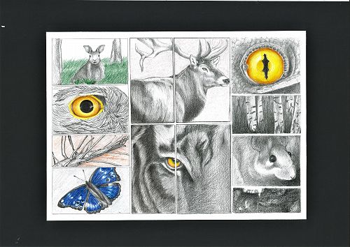 Jiao-Jiao grid drawing